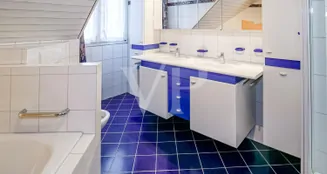 von_poll_real_estate_property_CH252468482_image_10