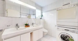 von_poll_real_estate_property_CH262468499_image_15