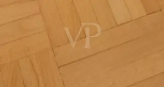 von_poll_real_estate_property_24229036_image_4