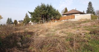 von_poll_real_estate_property_24229020_image_6