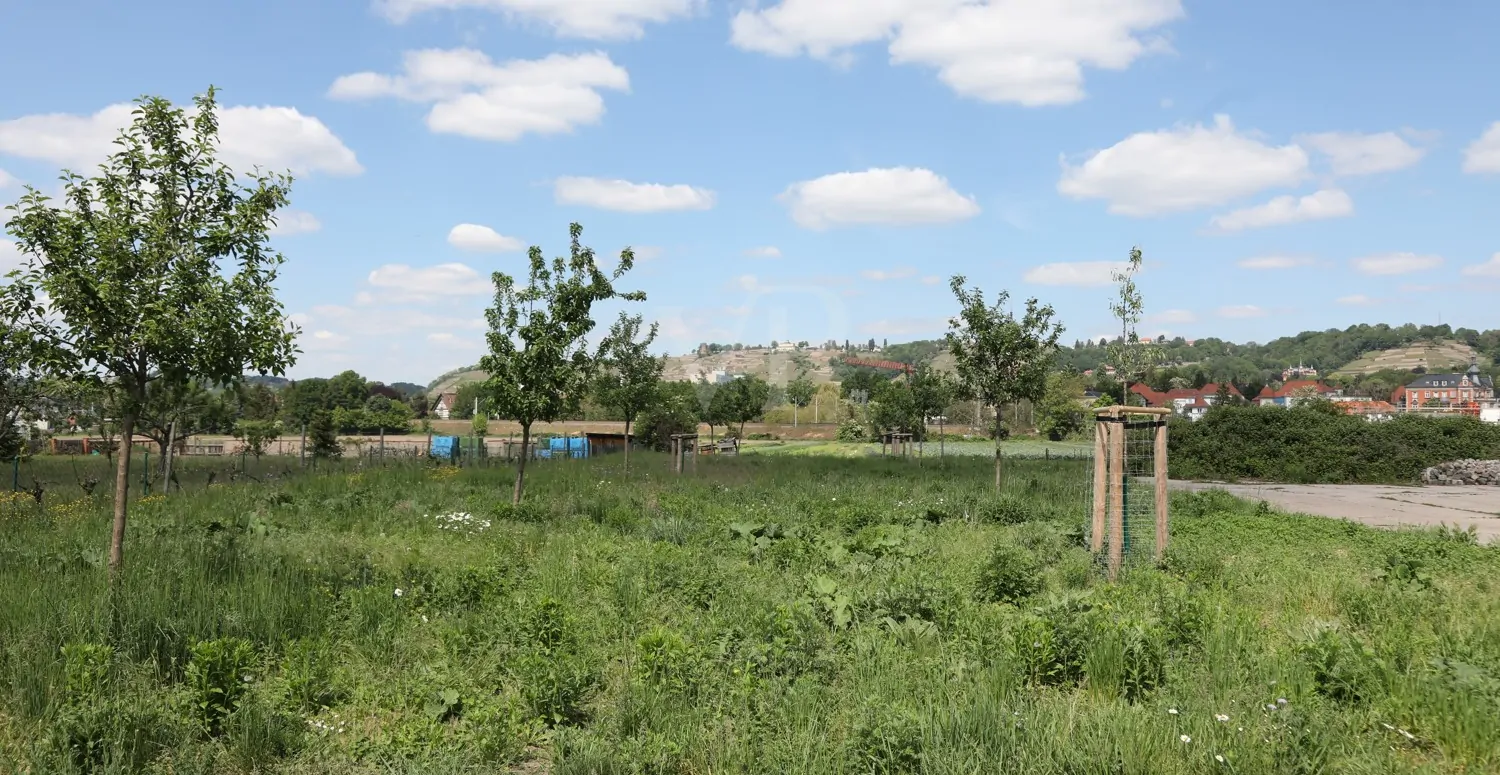 Spitzhausblick vom Garten