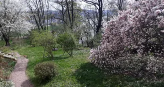 von_poll_real_estate_property_25229021_image_9