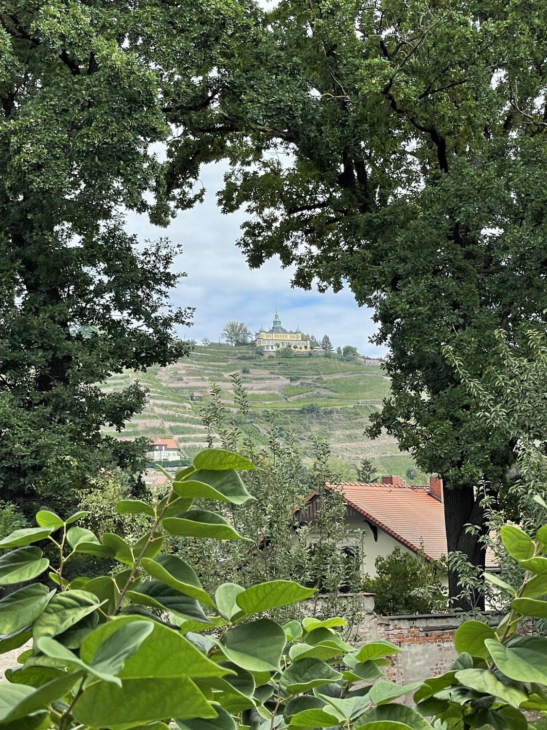 Ausblick vom Garten