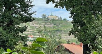 von_poll_real_estate_property_25229028_image_2