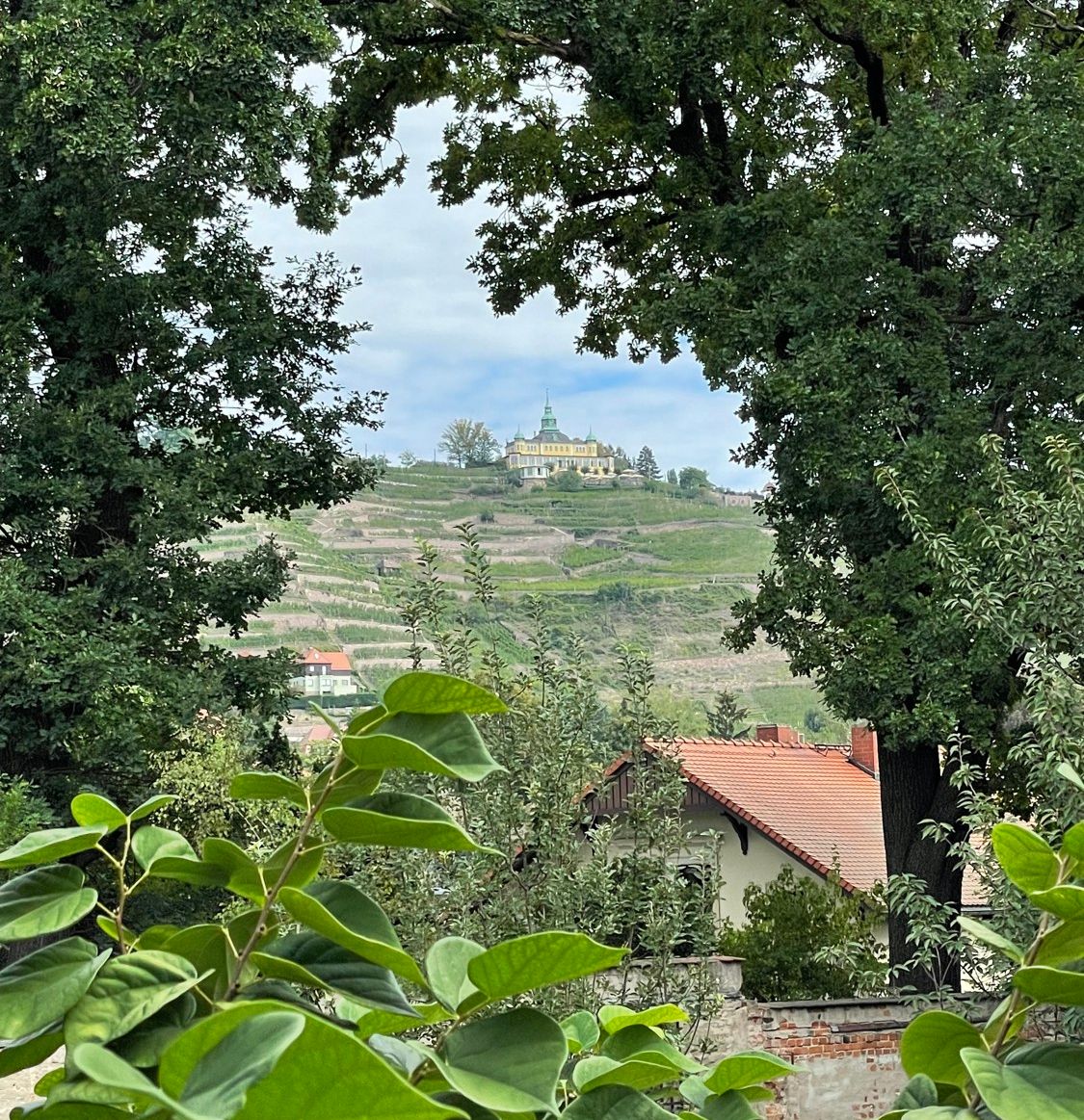 Ausblick vom Garten