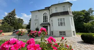 von_poll_real_estate_property_25229028_image_1