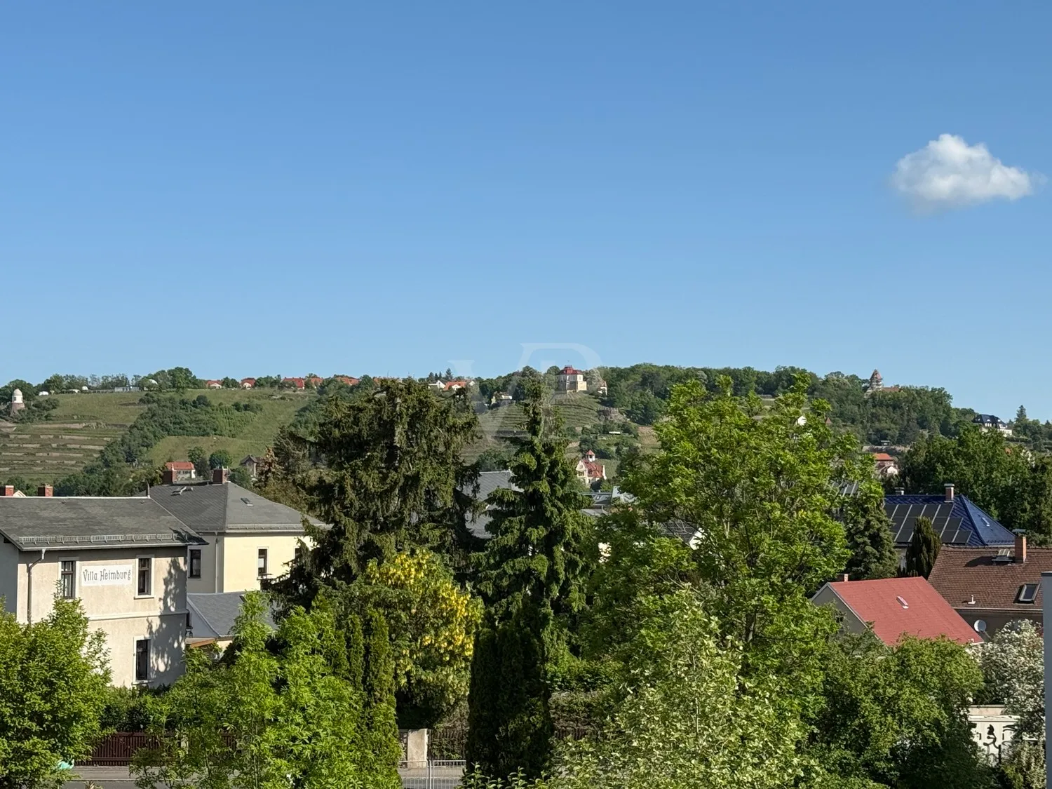 Weinberge Radebeuls