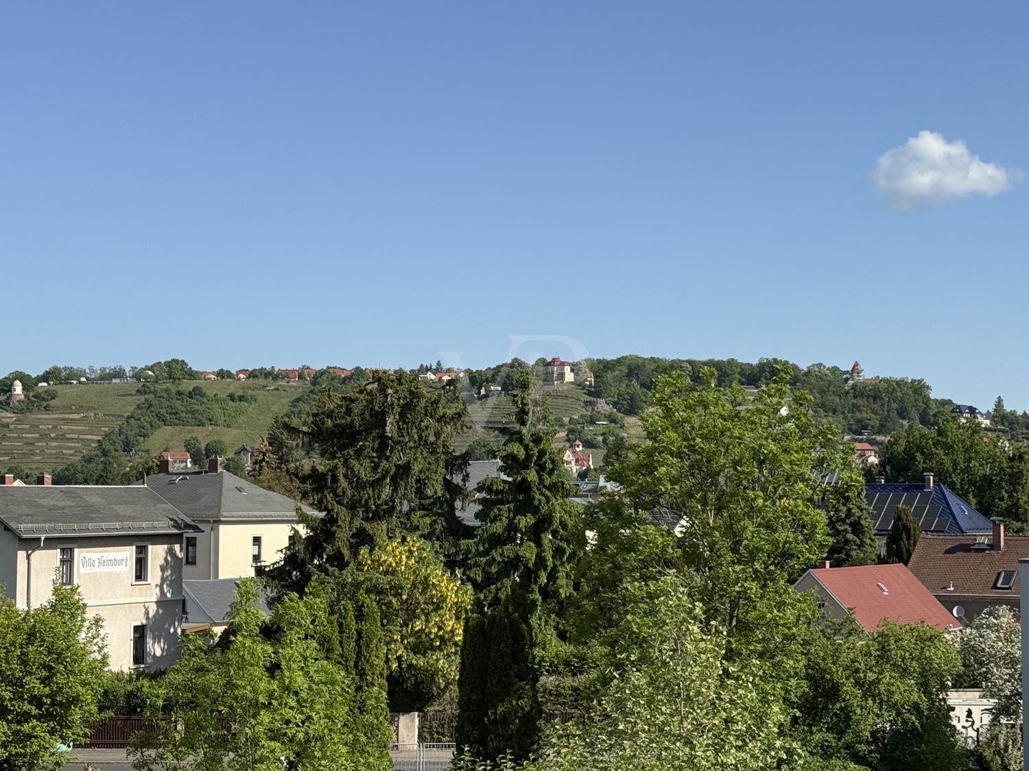 Weinberge Radebeuls