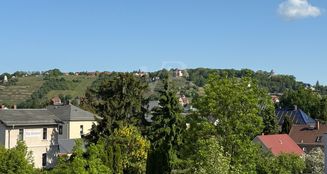von_poll_real_estate_property_25229030_image_7