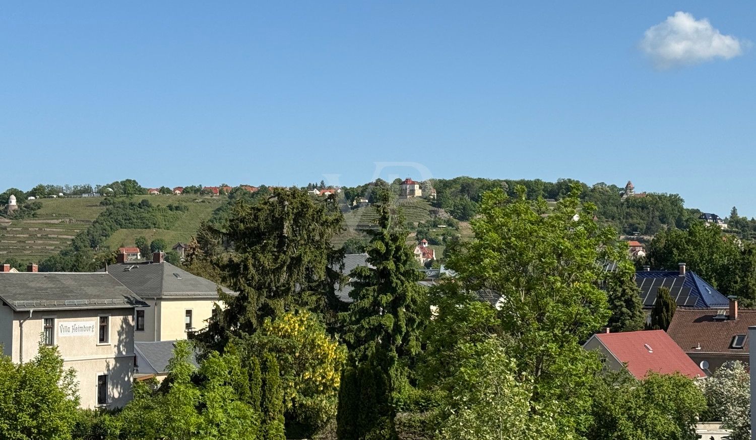 Weinberge Radebeuls