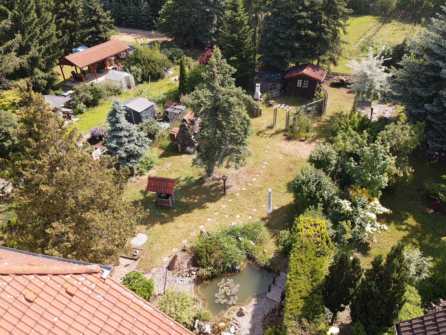Blick in den Garten