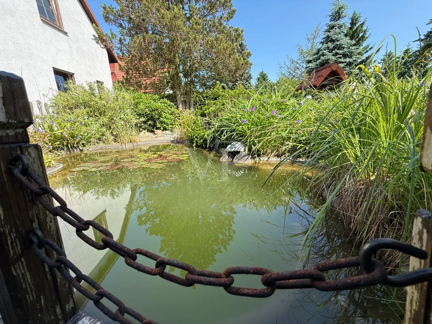 Teich mit kleiner Brücke