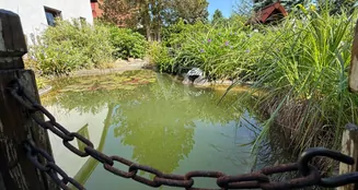 von_poll_real_estate_property_25229041_image_8