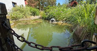 von_poll_real_estate_property_25229041_image_10