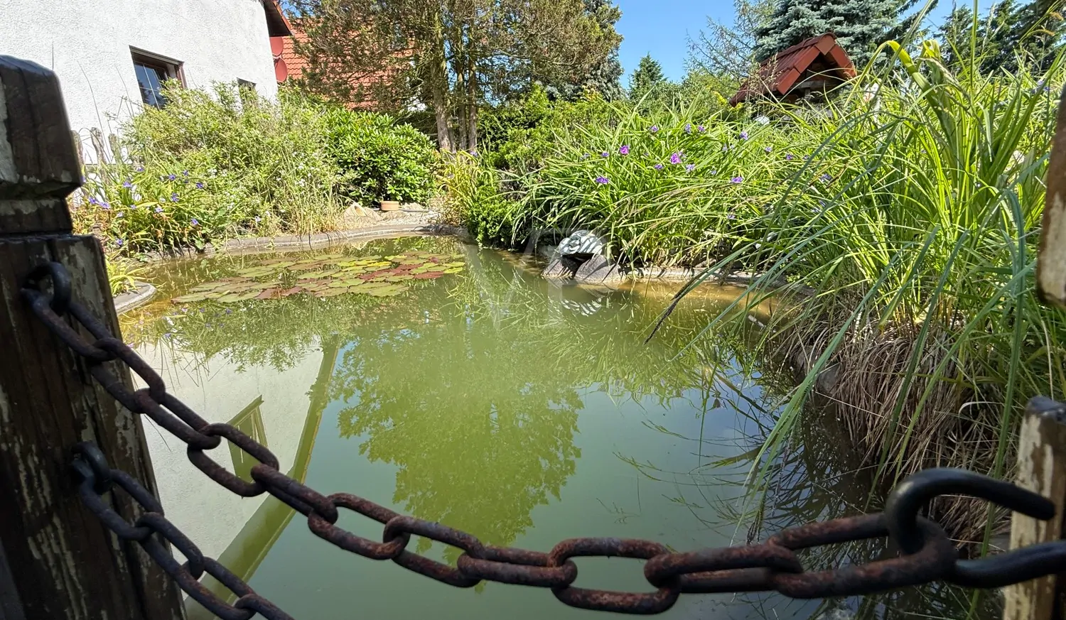 Teich mit kleiner Brücke