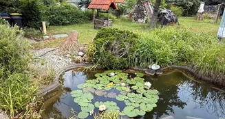 von_poll_real_estate_property_25229041_image_7