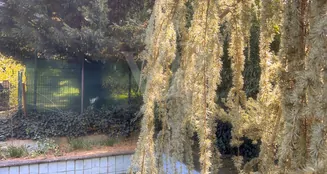 von_poll_real_estate_property_25229022_image_7