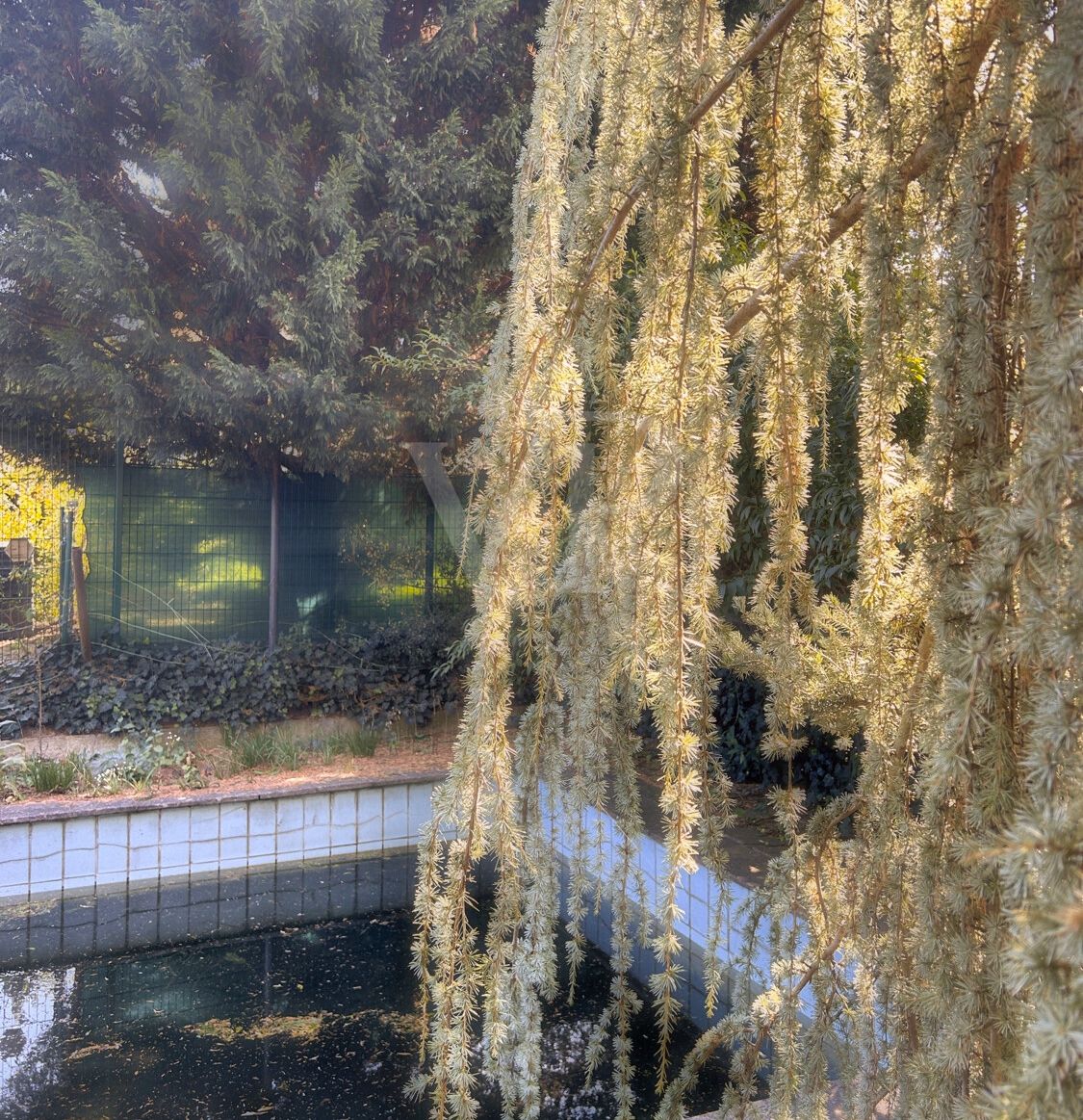 Pool Impression