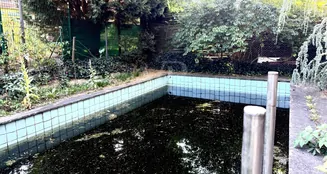 von_poll_real_estate_property_25229022_image_17