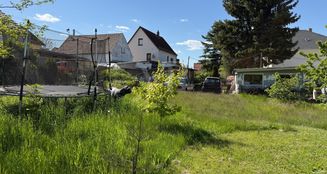 von_poll_real_estate_property_25229019_image_7