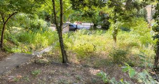 von_poll_real_estate_property_25229100_image_6