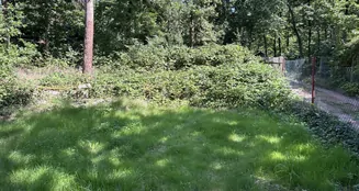 von_poll_real_estate_property_25229044_image_5