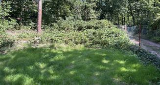 von_poll_real_estate_property_25229044_image_13