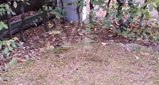 von_poll_real_estate_property_25229044_image_14