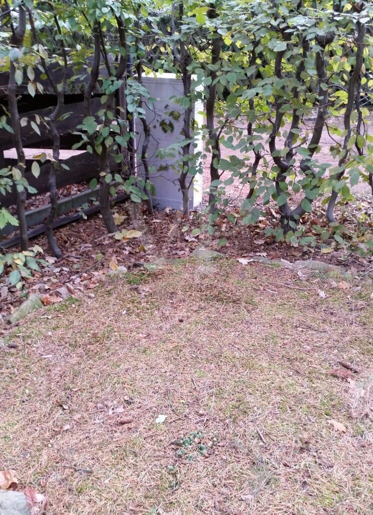 Stromkasten am Grundstück