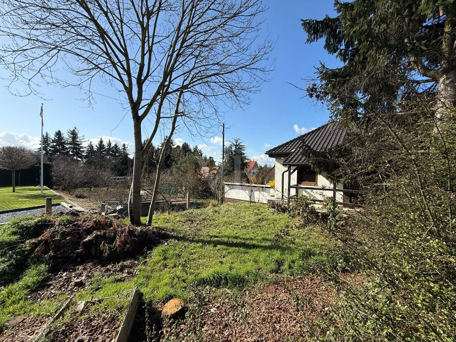 Blick zum Vorgarten