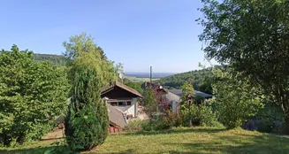 von_poll_real_estate_property_CH23272063_image_2