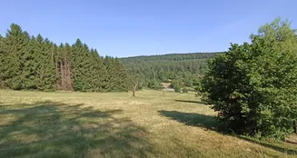 von_poll_real_estate_property_CH23272063_image_13