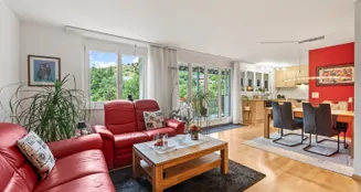 von_poll_real_estate_property_CH25272099_image_1