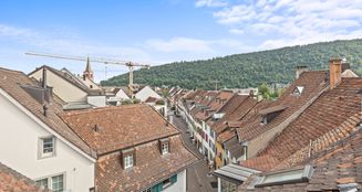 von_poll_real_estate_property_CH25272100_image_2