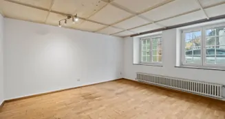 von_poll_real_estate_property_CH25236063_image_9