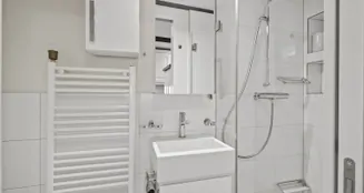 von_poll_real_estate_property_CH25236063_image_7