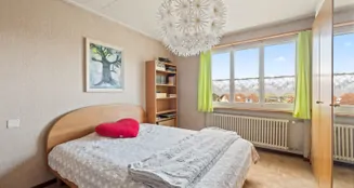 von_poll_real_estate_property_CH26272111_image_8