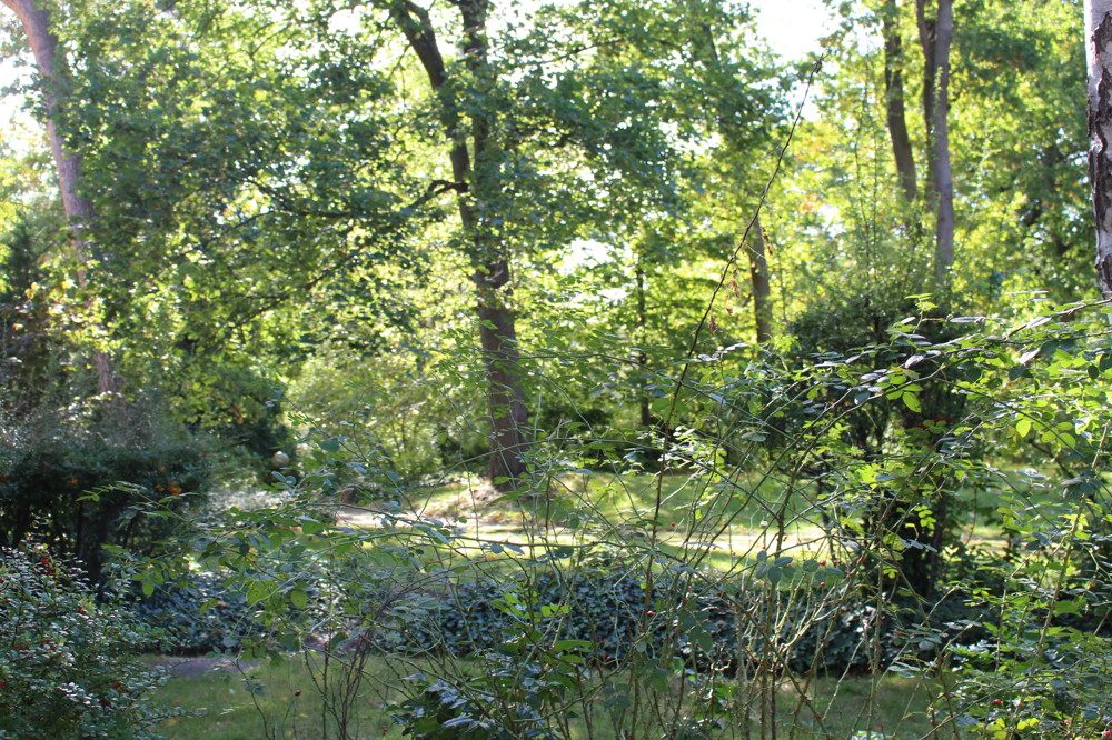 Gartenanlage