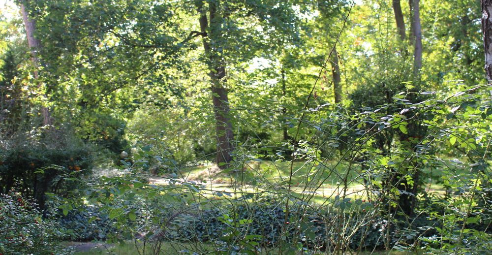 Gartenanlage