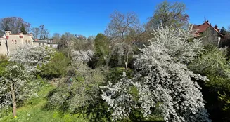 von_poll_real_estate_property_25331026_image_12