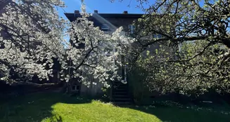 von_poll_real_estate_property_25331026_image_13