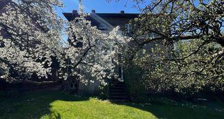 von_poll_real_estate_property_25331026_image_13