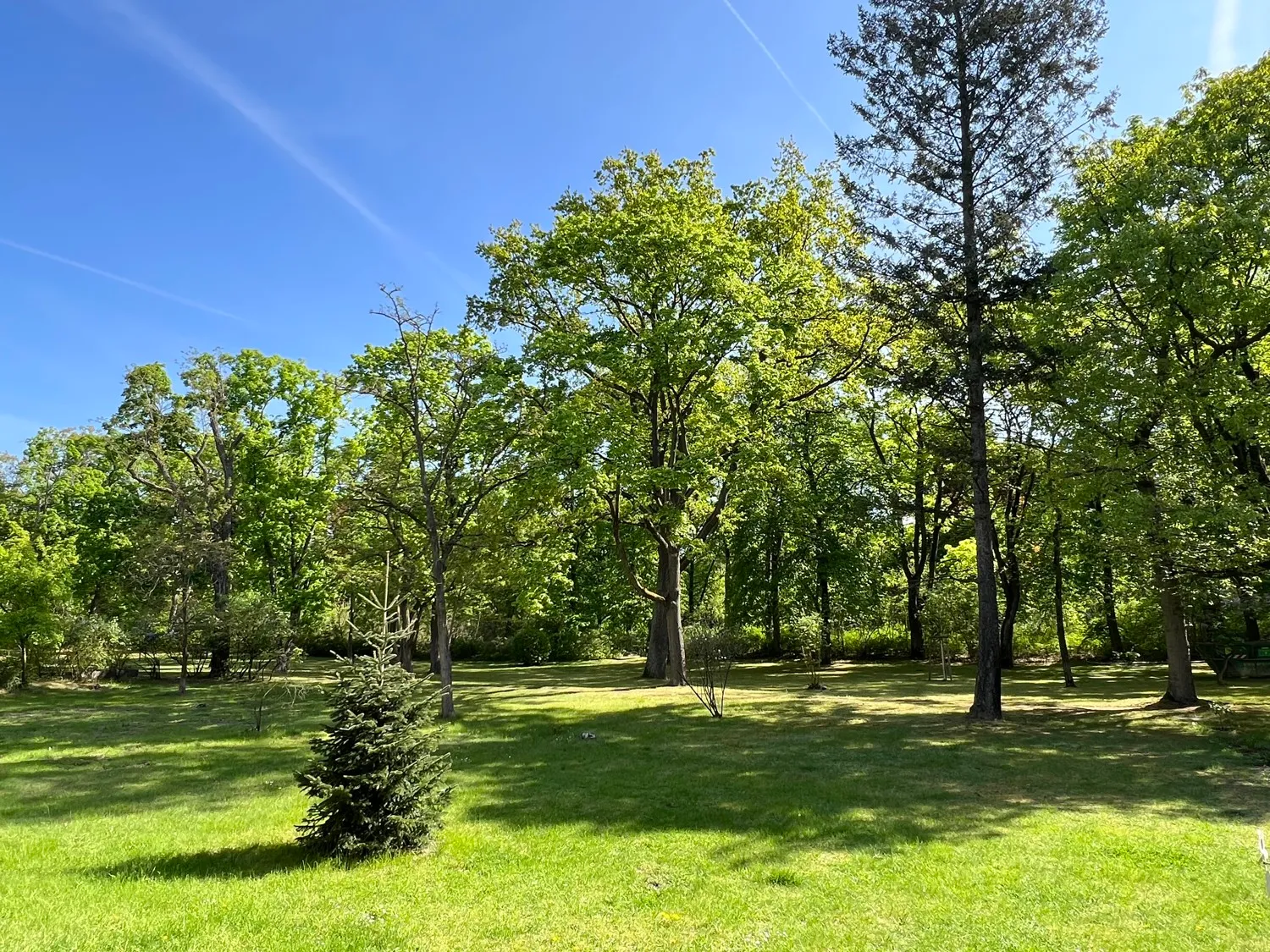Gemeinschaftsgarten mit Blick in den Park