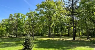 von_poll_real_estate_property_25213007_image_9