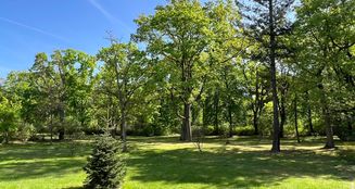 von_poll_real_estate_property_25213007_image_9