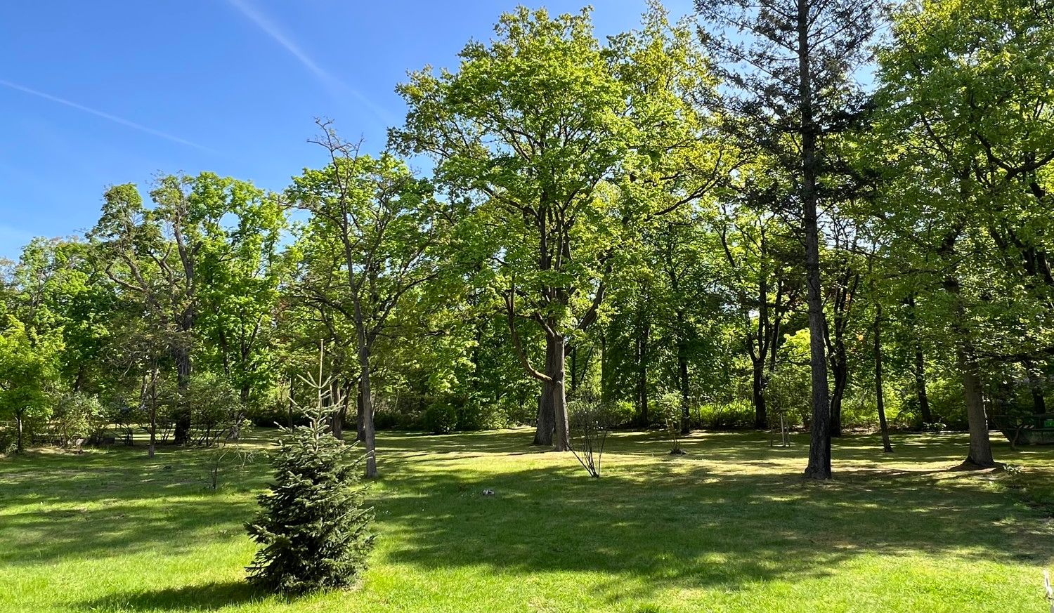 Gemeinschaftsgarten mit Blick in den Park