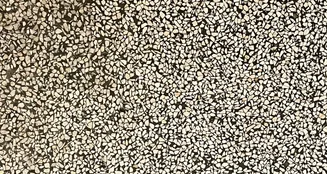 von_poll_real_estate_property_25213007_image_10