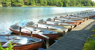 von_poll_real_estate_property_25213023_image_5