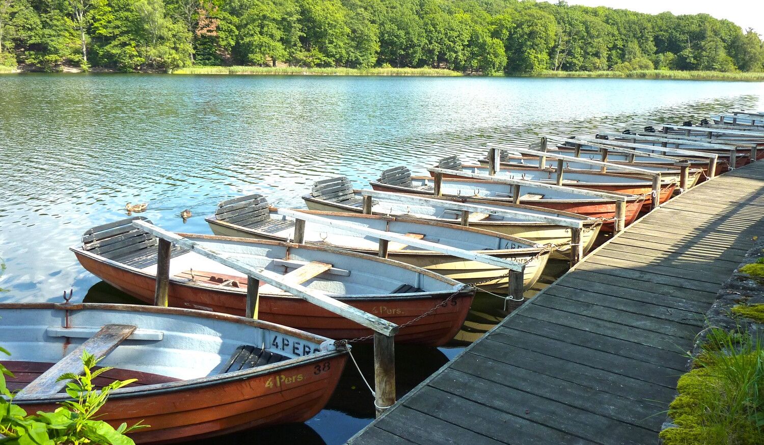 Schlachtensee Ruderbootverleih