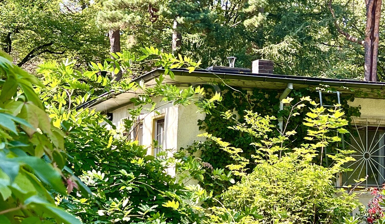 Rarität: Schönes Grundstück mit Altbestand in sehr guter Schlachtensee-Lage - nur 850 m bis zum See!